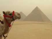 Czego nie warto wywozić z Egiptu